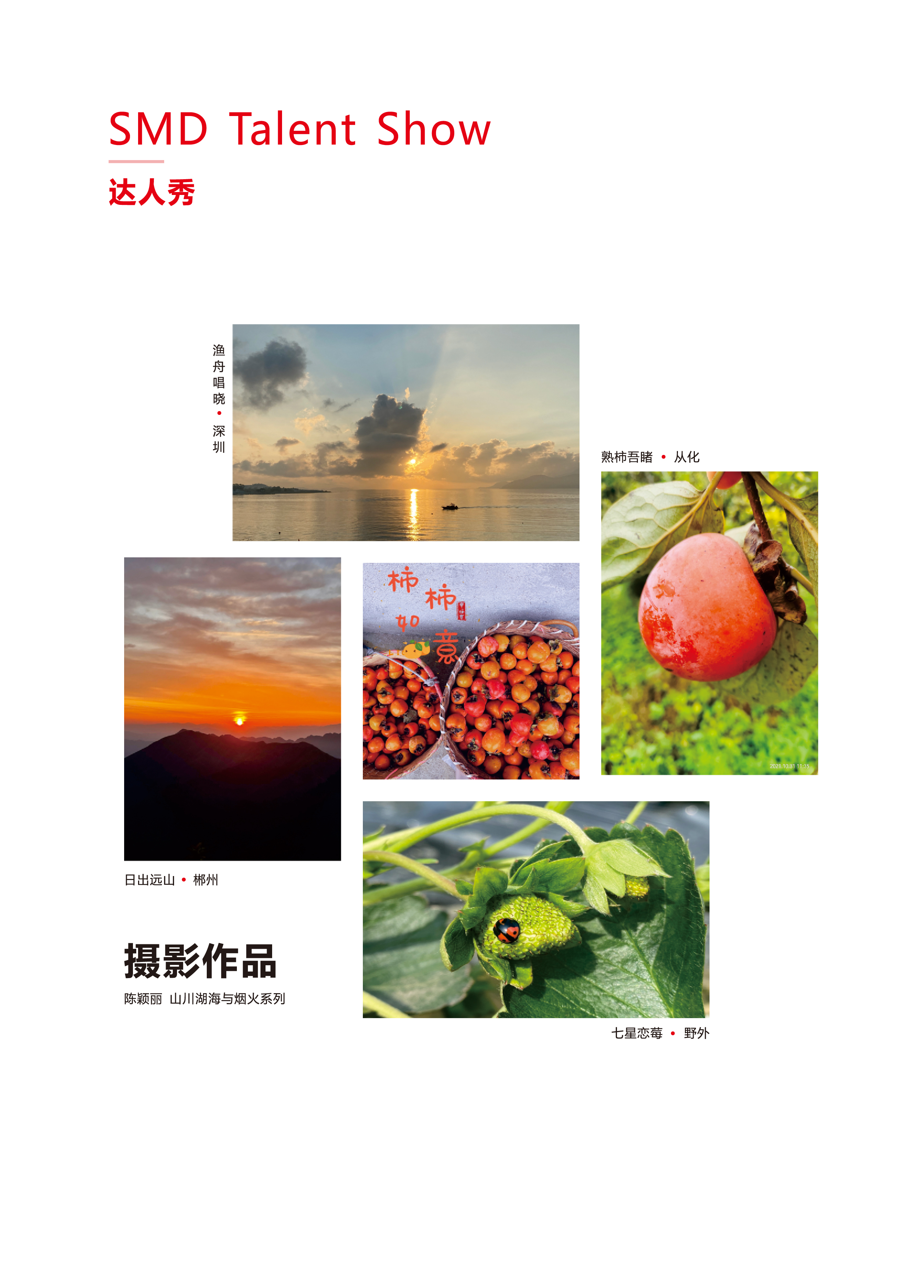 z6尊龙凯时ag旗舰厅(中国)人生就是搏官网